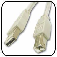 6 FT USB 2.0 A/M to B/M PRINTER CABLE IVORY